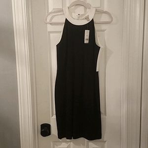Banana Republic 6P dress